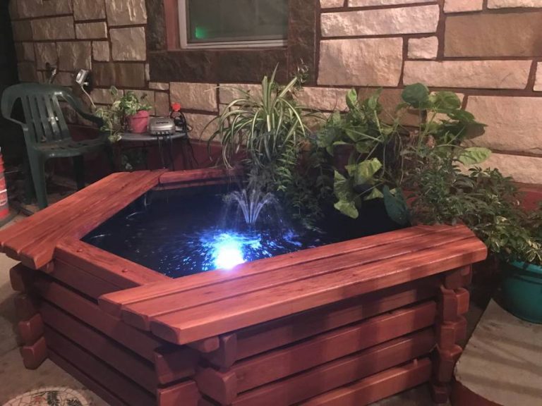 100 Gallon Above Ground Pond Kit Kim's Ponds